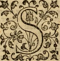 An illustration from [Annals of England to 1603] (1603)