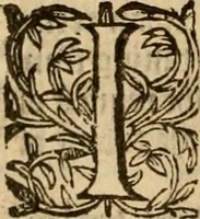 An illustration from [Annals of England to 1603] (1603)