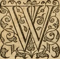 An illustration from [Annals of England to 1603] (1603)