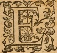 An illustration from [Annals of England to 1603] (1603)