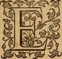 An illustration from [Annals of England to 1603] (1603)