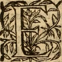An illustration from [Annals of England to 1603] (1603)