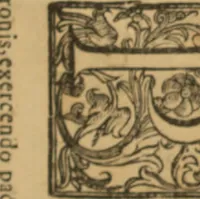 An illustration from Annotationes pro Regio Aerario ad Supremi Regiae Camerae Summariae Senatus Regni Neapolis decisiones, ... exaratus a ... Annibale Moles ... Nostra aetate anno 1670 in lucem editas ... Additisque undecim quaestionibus, cum suis decisionibus ejusdem (1692)