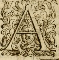 An illustration from Annotazioni, ovvero, Chiose marginali, di Bellisario Bulgarini, l'Aperto, accademico intronato : sopra la prima parte della difesa fatta da m. Iacopo Mazzoni per la Commedia di Dante Alighieri : compilate nell' idioma toscano sanese : aggiontoui il discorso di m. Ridolfo Castrauilla sopra la medesima Commedia, &c. : ed insieme il racconto delle materie più notabili di tutta l'opera (1608)