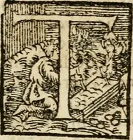 An illustration from Annotazioni, ovvero, Chiose marginali, di Bellisario Bulgarini, l'Aperto, accademico intronato : sopra la prima parte della difesa fatta da m. Iacopo Mazzoni per la Commedia di Dante Alighieri : compilate nell' idioma toscano sanese : aggiontoui il discorso di m. Ridolfo Castrauilla sopra la medesima Commedia, &c. : ed insieme il racconto delle materie più notabili di tutta l'opera (1608)