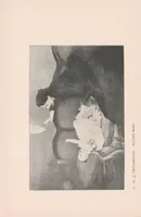 An illustration from Annual exhibition : catalogue (1897)