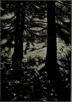 An illustration from Annual exhibition of paintings and sculpture by prominent painters and sculptors (1904)