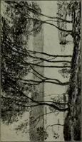 An illustration from Annual exhibition of paintings and sculpture by prominent painters and sculptors (1904)