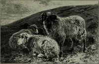 An illustration from Annual exhibition of paintings and sculpture by prominent painters and sculptors (1904)