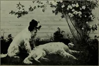 An illustration from Annual exhibition of paintings and sculpture by prominent painters and sculptors (1904)