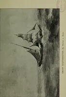 Picture 60 of 68 from Annual exhibition of paintings and sculpture by prominent painters and sculptors (1904), leaf 238