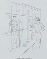 Picture 11 of 13 from Annual report (1929), leaf 20