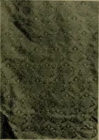 An illustration from Annual report of the Philadelphia Museum of Art (1878)