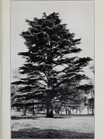 An illustration from Annual report of the American Scenic and Historic Preservation Society to the legislature of the State of New York. (1901)