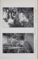 An illustration from Annual report of the American Scenic and Historic Preservation Society to the legislature of the State of New York. (1901)