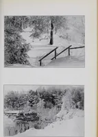 Picture 61 of 71 from Annual report of the American Scenic and Historic Preservation Society to the legislature of the State of New York. (1901), leaf 918