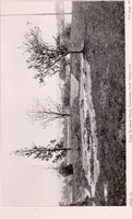 An illustration from Annual report of the American Scenic and Historic Preservation Society to the legislature of the State of New York. (1901)