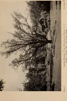 An illustration from Annual report of the American Scenic and Historic Preservation Society to the legislature of the State of New York. (1901)