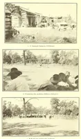 Picture 6 of 13 from Annual report of the Bureau of American Ethnology to the Secretary of the Smithsonian Institution (1895), leaf 254