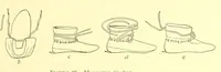 Picture 4 of 12 from Annual report of the Bureau of American Ethnology to the Secretary of the Smithsonian Institution (1895), leaf 359