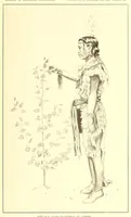 Picture 11 of 12 from Annual report of the Bureau of American Ethnology to the Secretary of the Smithsonian Institution (1895), leaf 735