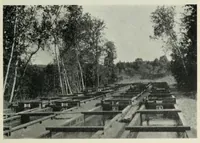 An illustration from Annual report of the Game and Fisheries Department of Ontario, 1921-34 (1907)