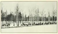 An illustration from Annual report of the Game and Fisheries Department of Ontario, 1921-34 (1907)