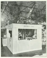 Picture 1 of 12 from Annual report of the Game and Fisheries Department of Ontario, 1921-34 (1907), leaf 88