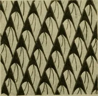 Picture 105 of 115 from Annual report of the Philadelphia Museum of Art (1878), leaf 395