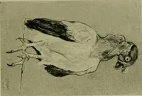 Picture 20 of 115 from Annual report of the Philadelphia Museum of Art (1878), leaf 56