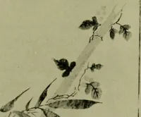 An illustration from Annual report of the Philadelphia Museum of Art (1878)