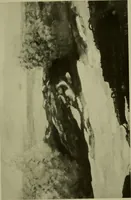 An illustration from Annual report of the Philadelphia Museum of Art (1878)