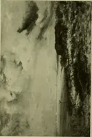 An illustration from Annual report of the Philadelphia Museum of Art (1878)