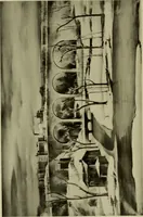 An illustration from Annual report of the Philadelphia Museum of Art (1878)