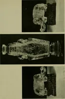 Picture 42 of 59 from Annual report of the Philadelphia Museum of Art (1878), leaf 322