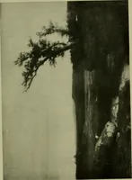 An illustration from Annual report of the Philadelphia Museum of Art (1878)