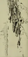 An illustration from Annual report of the Philadelphia Museum of Art (1878)