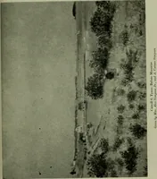 An illustration from Annual report of the Philadelphia Museum of Art (1878)
