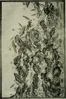 An illustration from Annual report of the Philadelphia Museum of Art (1878)
