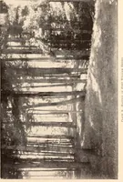An illustration from Annual report of the Society for the Preservation of Scenic and Historic Places and Objects to the legislature of the State of New York (1899)