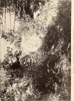 An illustration from Annual report of the Society for the Preservation of Scenic and Historic Places and Objects to the legislature of the State of New York (1899)
