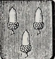 An illustration from Annuare général héraldique (1903)