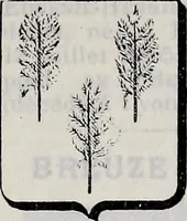 Picture 423 of 947 from Annuare général héraldique (1903), leaf 610