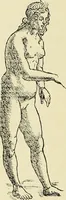 An illustration from Der anonyme Meister des Poliphilo; eine Studie zur italienischen Buchillustration und zur Antike in der Kunst des Quattrocento (1904)