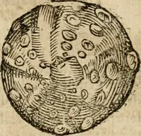 An illustration from Anselmi Boetii de Boodt ... Gemmarvm et lapidvm historia : qua non solum ortus, natura, vis & precium, sed etiam modus quo ex iis olea, salia, tincturae, essentiae, arcana & magisteria arte chymica confici possint, ostenditur : opvs principibvs, medicis, chymicis, physicis, ac liberalioribus ingeniis vtilissimum : cum variis figuris, indiceq. duplici & copioso (1609)