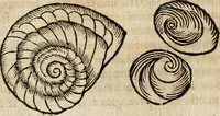 An illustration from Anselmi Boetii de Boodt ... Gemmarvm et lapidvm historia : qua non solum ortus, natura, vis & precium, sed etiam modus quo ex iis olea, salia, tincturae, essentiae, arcana & magisteria arte chymica confici possint, ostenditur : opvs principibvs, medicis, chymicis, physicis, ac liberalioribus ingeniis vtilissimum : cum variis figuris, indiceq. duplici & copioso (1609)