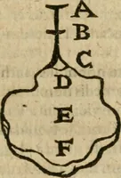 An illustration from Anselmi Boetii de Boodt ... Gemmarvm et lapidvm historia : qua non solum ortus, natura, vis & precium, sed etiam modus quo ex iis olea, salia, tincturae, essentiae, arcana & magisteria arte chymica confici possint, ostenditur : opvs principibvs, medicis, chymicis, physicis, ac liberalioribus ingeniis vtilissimum : cum variis figuris, indiceq. duplici & copioso (1609)