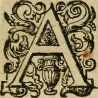 An illustration from Anselmi Boetii de Boodt ... Gemmarvm et lapidvm historia : qua non solum ortus, natura, vis & precium, sed etiam modus quo ex iis olea, salia, tincturae, essentiae, arcana & magisteria arte chymica confici possint, ostenditur : opvs principibvs, medicis, chymicis, physicis, ac liberalioribus ingeniis vtilissimum : cum variis figuris, indiceq. duplici & copioso (1609)