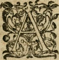 An illustration from Anselmi Boetii de Boodt ... Gemmarvm et lapidvm historia : qua non solum ortus, natura, vis & precium, sed etiam modus quo ex iis olea, salia, tincturae, essentiae, arcana & magisteria arte chymica confici possint, ostenditur : opvs principibvs, medicis, chymicis, physicis, ac liberalioribus ingeniis vtilissimum : cum variis figuris, indiceq. duplici & copioso (1609)
