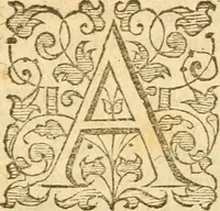 An illustration from An Answere to a great number of blasphemous cavillations written by an Anabaptist, and adversarie to God's eternall predestination (1591)